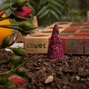 Conos