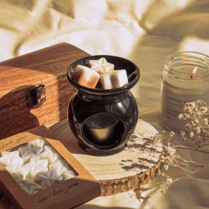 Quemadores Aceites y Wax Melts