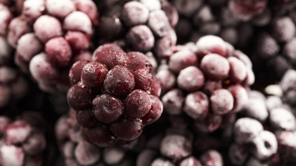 Fragancia Mora Silvestre