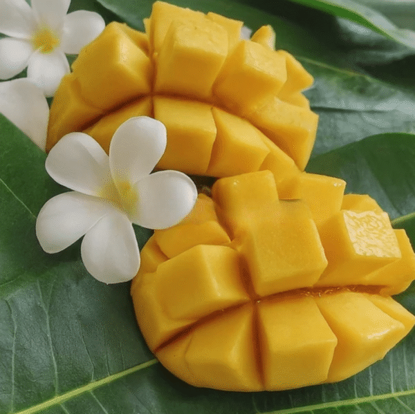 Fragancia Jazmin & Mango